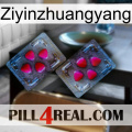 Ziyinzhuangyang 15